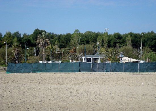 Pineta Falcone e Borsellino